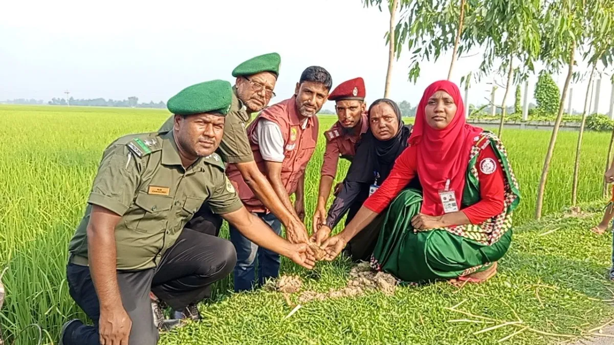 পরিবেশের ভারসাম্য রক্ষায় নবাবগঞ্জে ৩০০ তাল বীজ রোপণ