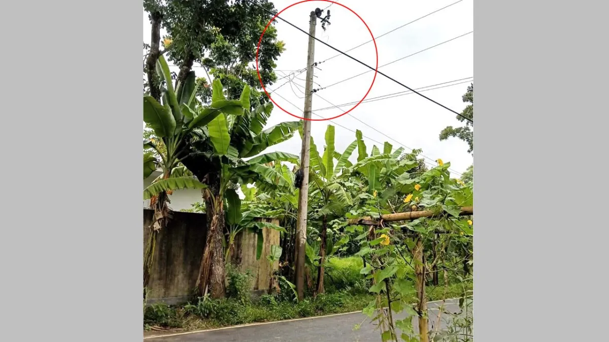 মিরসরাইয়ে ট্রান্সফরমার চুরি, অন্ধকারে ৭০ পরিবার