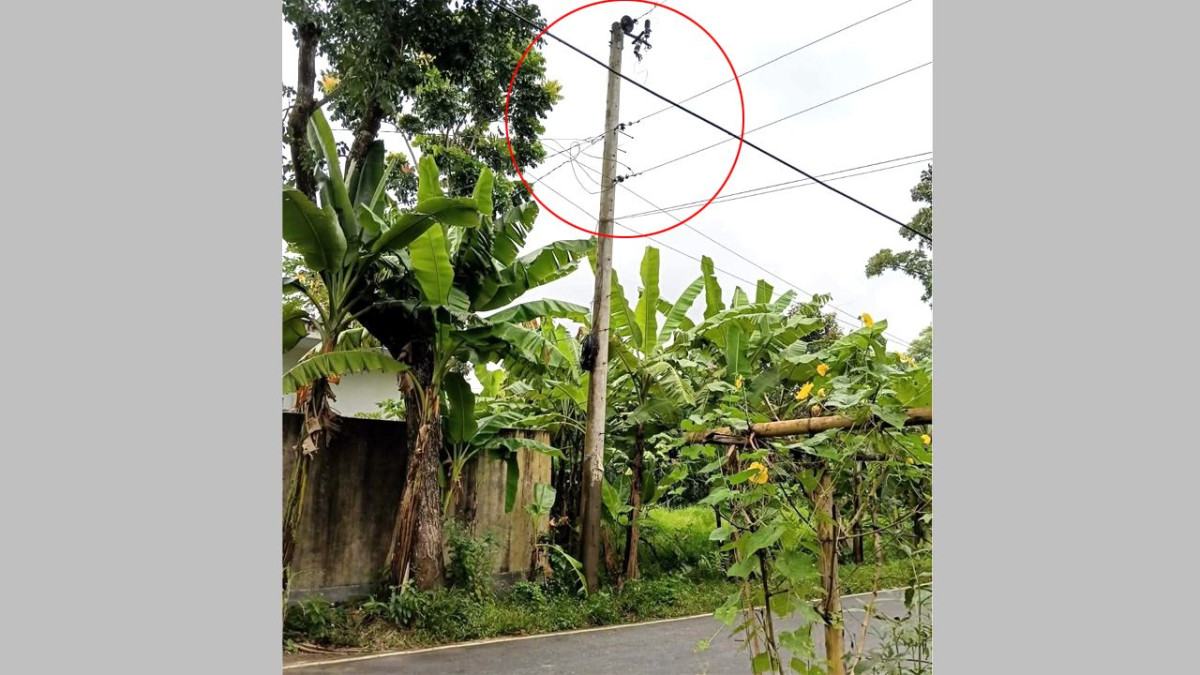 মিরসরাইয়ে ট্রান্সফরমার চুরি, অন্ধকারে ৭০ পরিবার