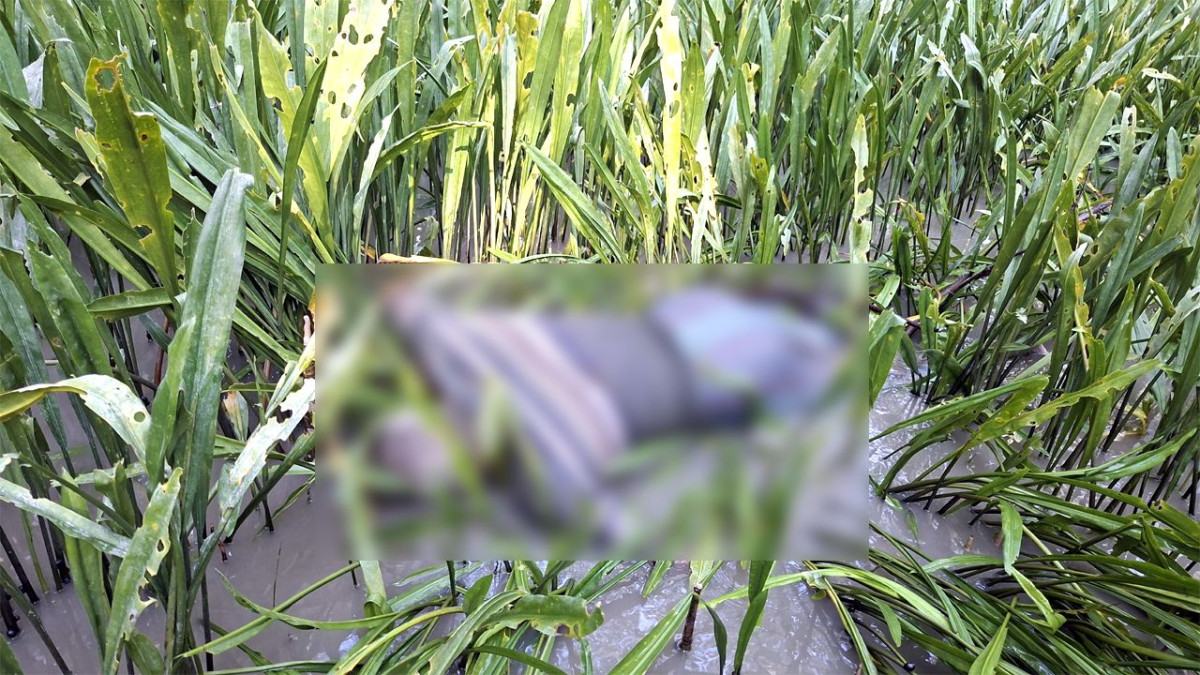 পাথরঘাটায় বিষখালী নদী থেকে বৃদ্ধের লাশ উদ্ধার