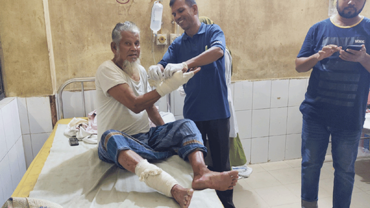 কুষ্টিয়া শহরে বেওয়ারিশ কুকুরের উপদ্রব, ১ দিনে কামড়ের শিকার ১১ জন