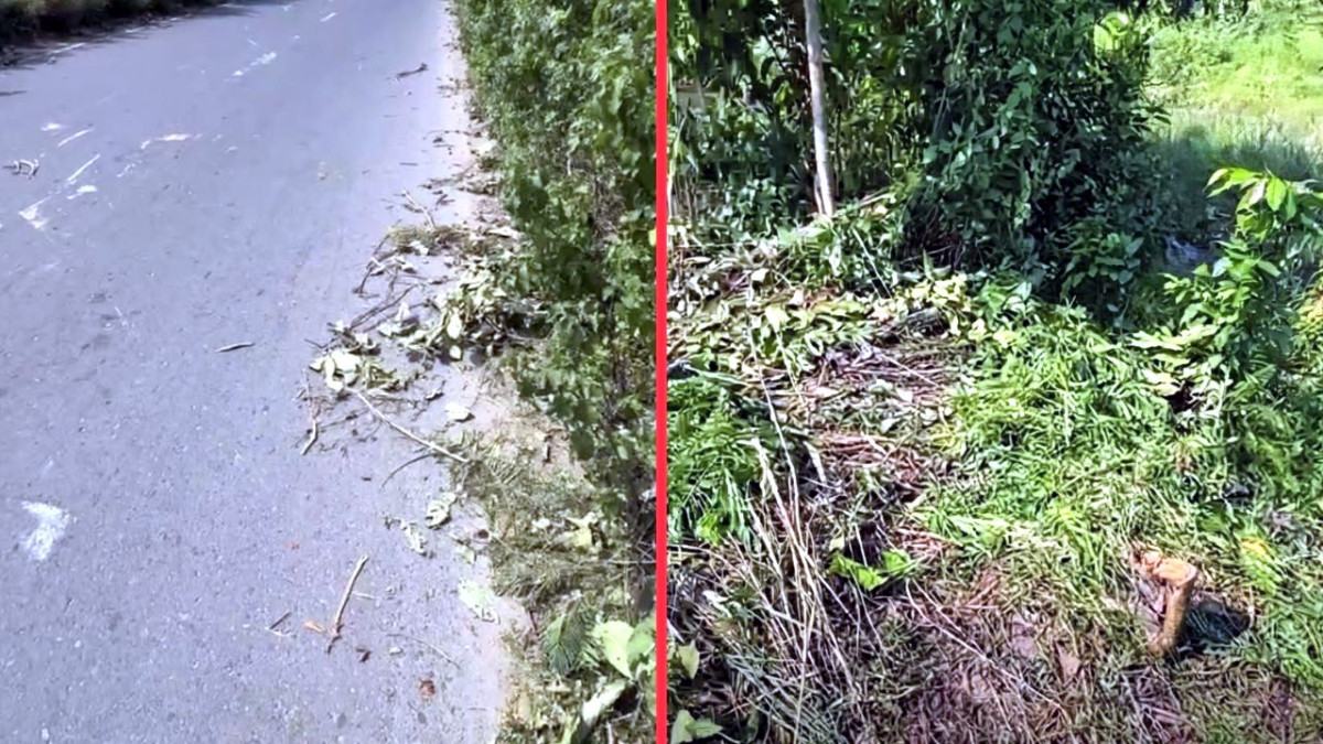 শ্রীনগরে ঢাকা-মাওয়া এক্সপ্রেসওয়েতে গাছ ফেলে ২ দফা ডাকাতি