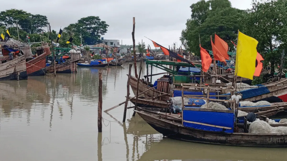 ভরা মৌসুমেও মিলছে না কাঙ্ক্ষিত ইলিশ, দুশ্চিন্তায় উপকূলের জেলেরা
