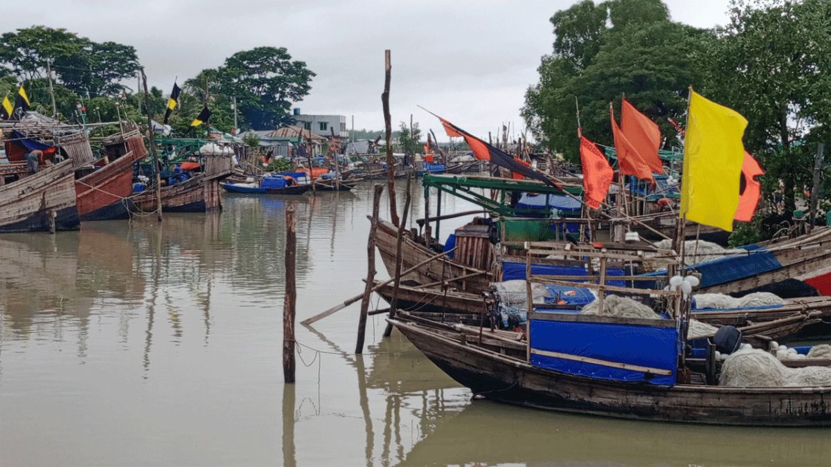 ভরা মৌসুমেও মিলছে না কাঙ্ক্ষিত ইলিশ, দুশ্চিন্তায় উপকূলের জেলেরা