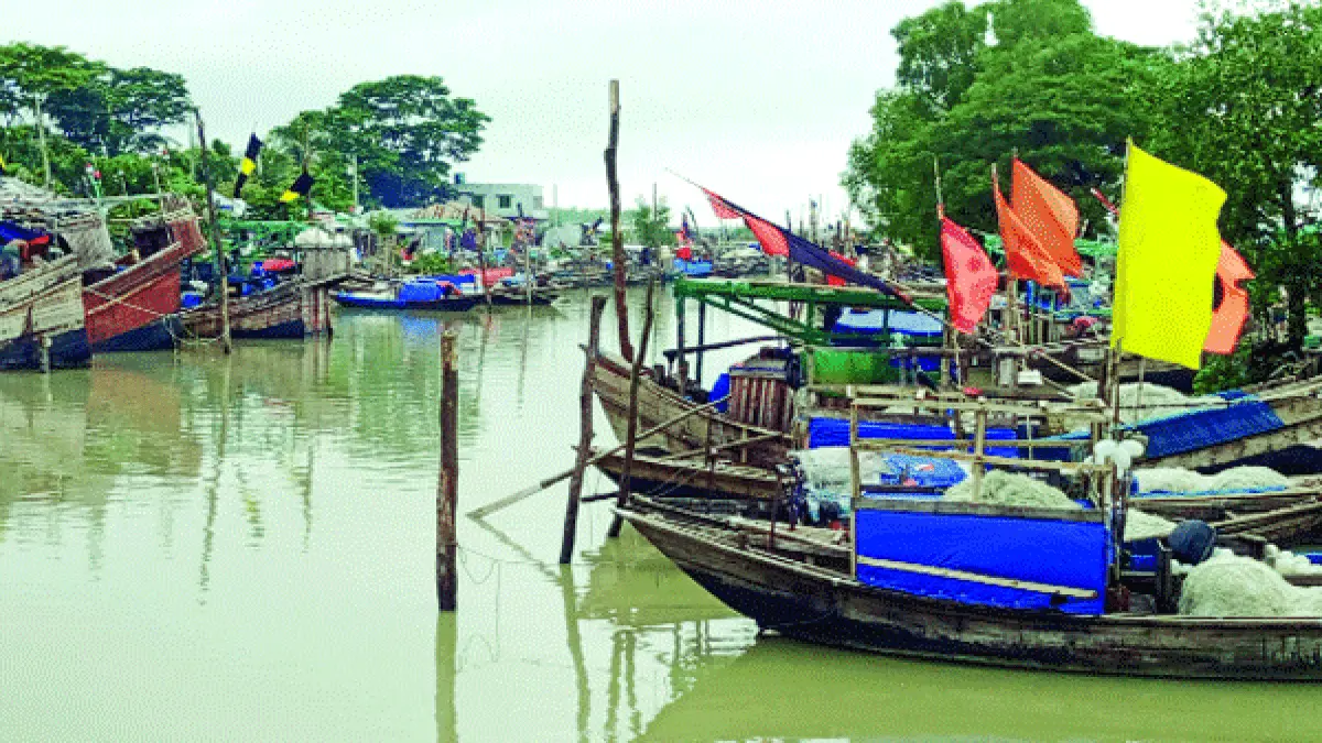 ভরা মৌসুমেও মিলছে না ইলিশ, দুশ্চিন্তায় জেলেরা