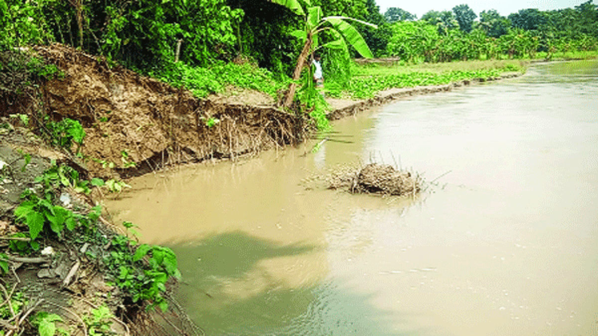 গড়াই নদীর তীব্র ভাঙন, হুমকিতে কোদলা গ্রামের ৫০০ পরিবার