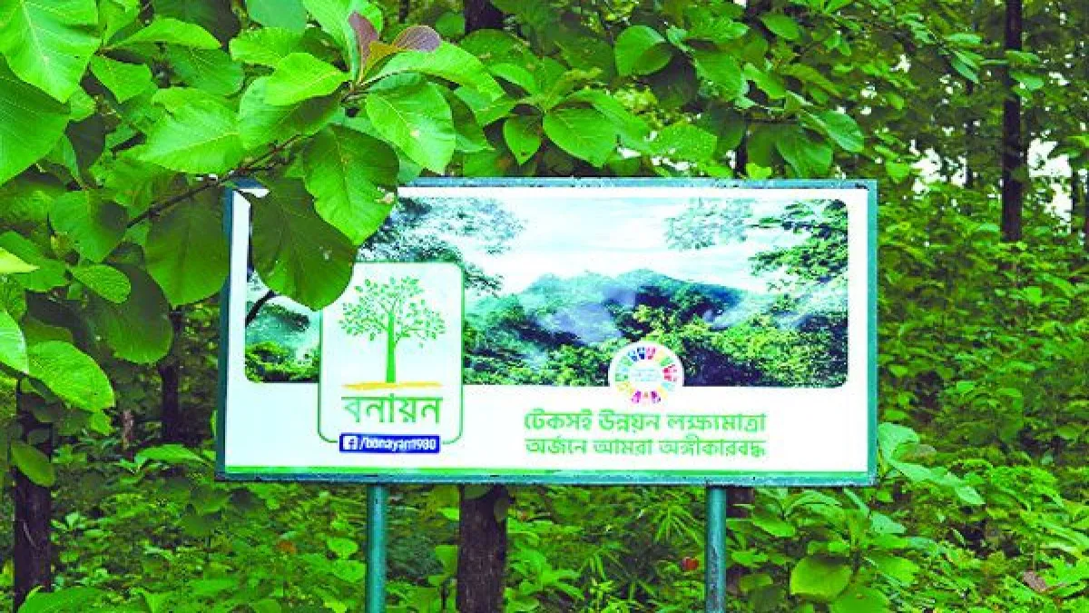 ৪৬ বছর ধরে সবুজ ভবিষ্যৎ গড়ে তোলার পথচলা বনায়নের
