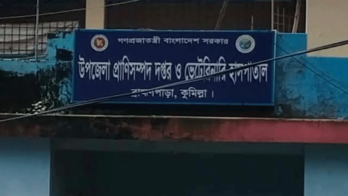 ব্রাহ্মণপাড়ায় ভুয়া পশু চিকিৎসকের দাপট, শঙ্কায় খামারিরা