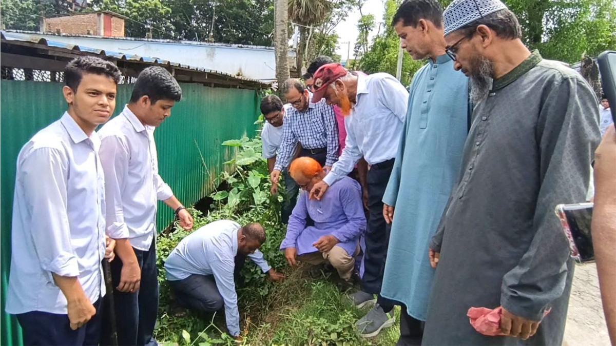 কুমিল্লায় ১ লাখ তালবীজ রোপণ কর্মসূচি উদ্বোধন
