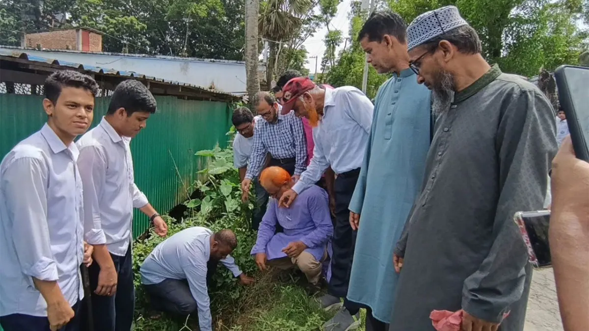 কুমিল্লায় লাখ তালবীজ রোপণের উদ্যোগ শিক্ষকের