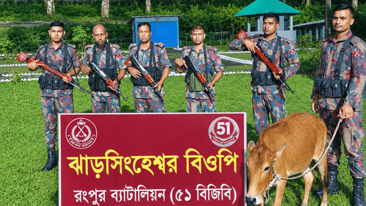 ডিমলা সীমান্তে বিজিবির অভিযানে ভারতীয় গরু জব্দ