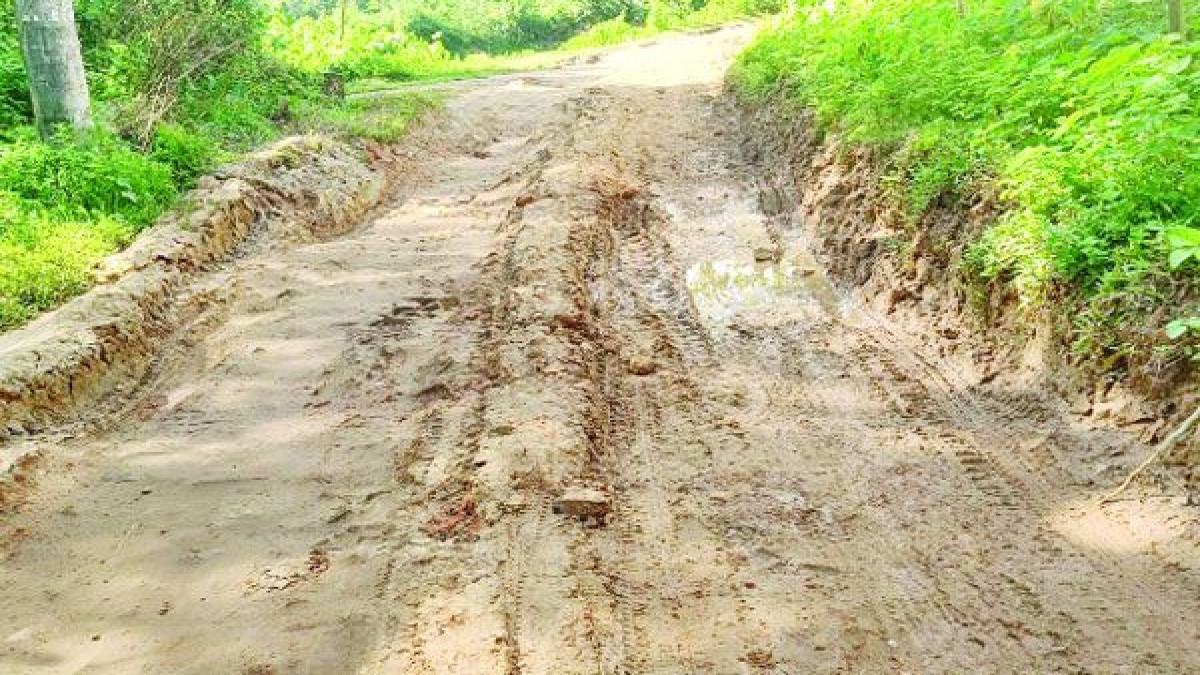 সাড়ে তিন বছরে ৪০ শতাংশ কাজ বেহাল মেদুয়ারী-পাঁচগাঁও সড়ক