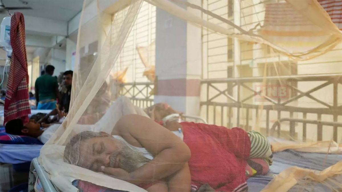 ডেঙ্গুতে ২৪ ঘণ্টায় ২ মৃত্যু, হাসপাতালে ৯৫৫