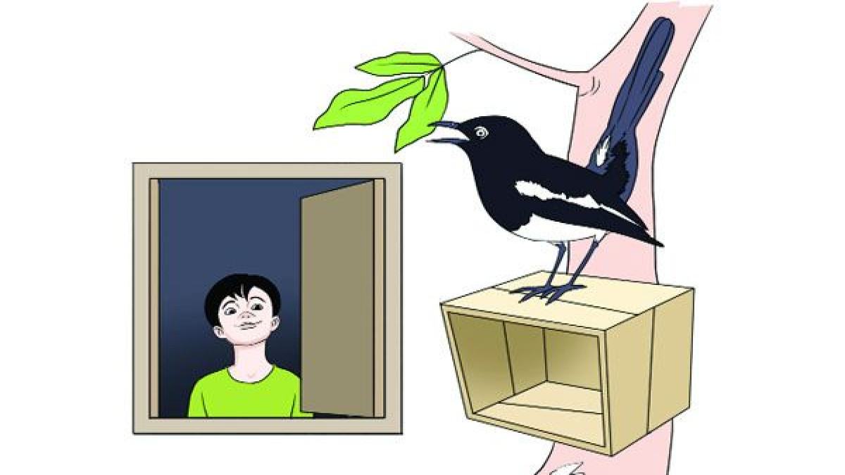 নিখোঁজ দোয়েলের সন্ধানে : জনি হোসেন কাব্য