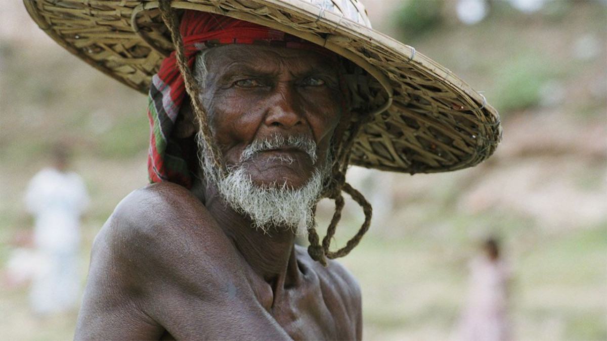 আলঝেইমার আর ‘নিরাময় অযোগ্য’ নয় : বিজ্ঞানের লড়াই এখন রোগের গতির বিরুদ্ধে