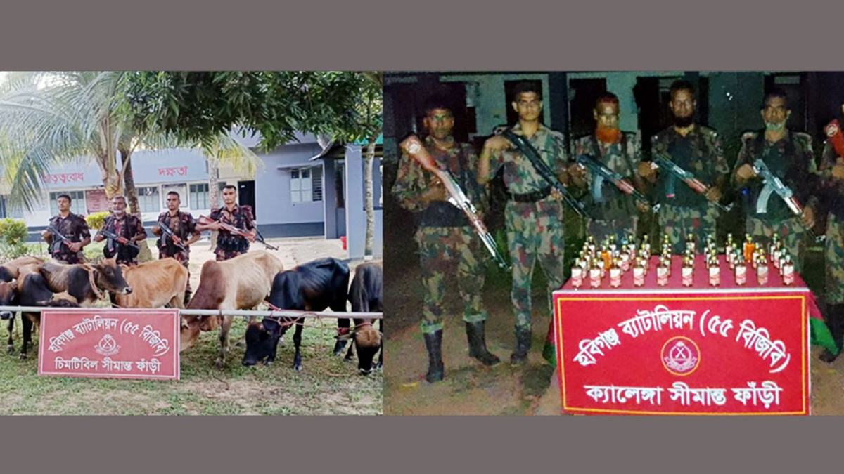 হবিগঞ্জে বিজিবির অভিযানে ভারতীয় মদ ও গরু জব্দ