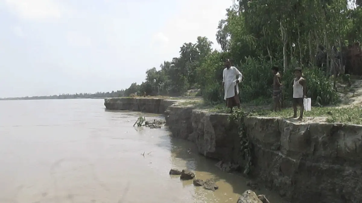 যমুনার ভাঙনে বদলে যাচ্ছে সাঘাটার মানচিত্র