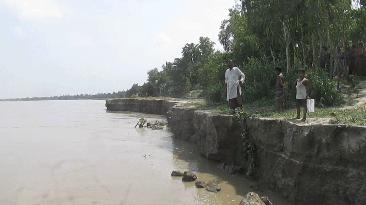 যমুনার ভাঙনে বদলে যাচ্ছে সাঘাটার মানচিত্র
