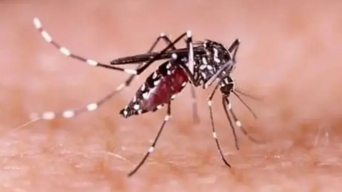 সিলেটে আরো ৬ ডেঙ্গুরোগী শনাক্ত
