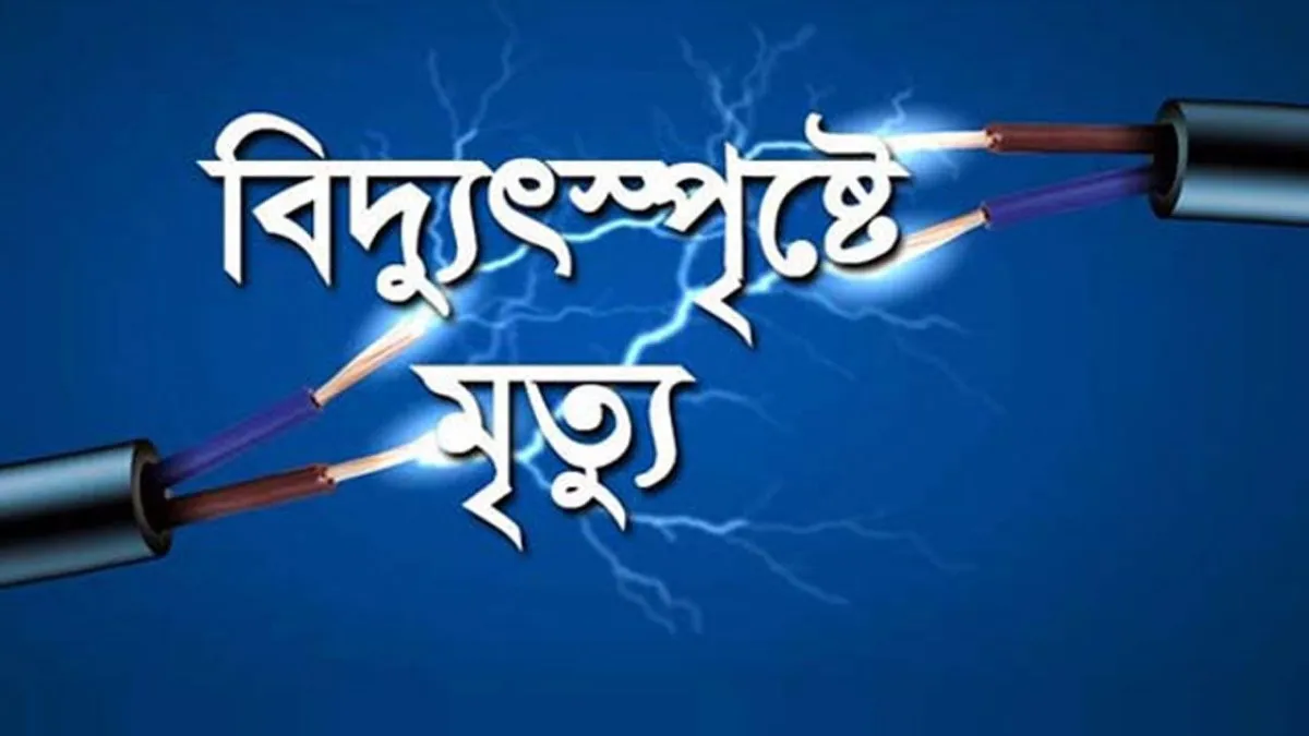 ভালুকায় বিদ্যুৎস্পৃষ্টে ২ ভাইয়ের মৃত্যু