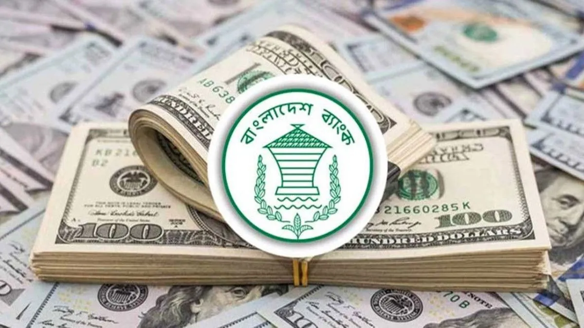 সেপ্টেম্বরে ২৯ দিনে দেশে রেমিট্যান্স এসেছে ২৬৪ কোটি ১০ লাখ ডলার