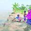 যমুনার ভাঙনে শাহজাদপুরে শত শত পরিবার নিঃস্ব