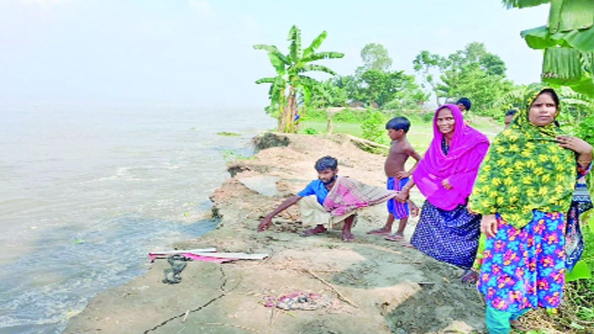 যমুনার ভাঙনে শাহজাদপুরে শত শত পরিবার নিঃস্ব
