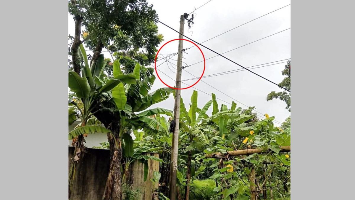 ট্রান্সফরমার চুরি : ১ মাস ধরে বিদ্যুৎহীন মিরসরাইয়ের এলাকাবাসী