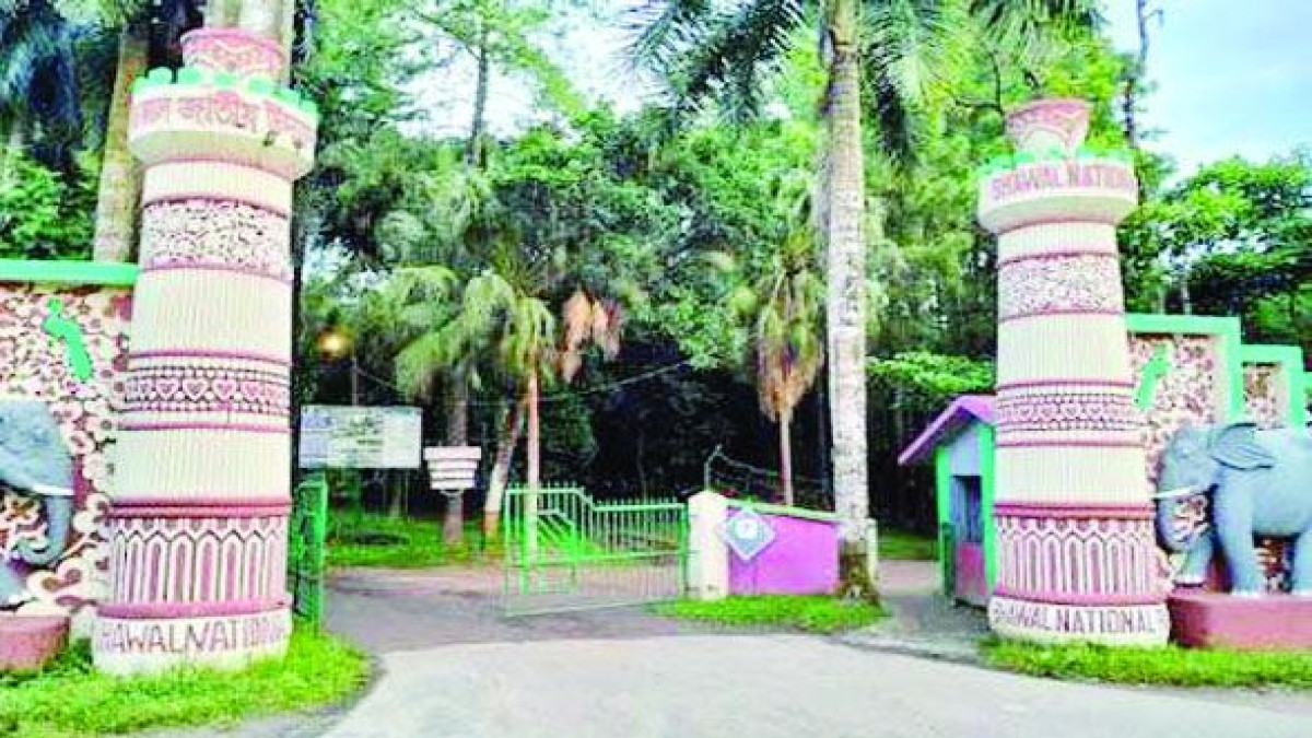 নিরাপত্তাহীনতায় জৌলুশ হারাচ্ছে ভাওয়াল জাতীয় উদ্যান