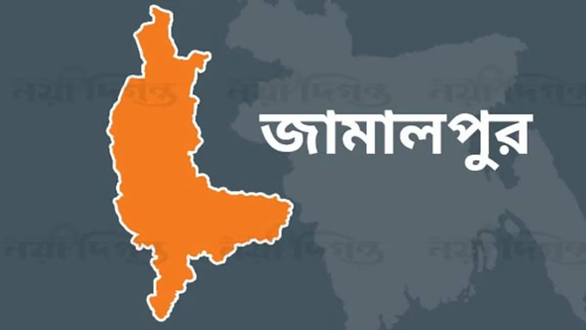 দেওয়ানগঞ্জে বিজিবির অভিযানে ১৮৬ বোতল ভারতীয় মদ জব্দ