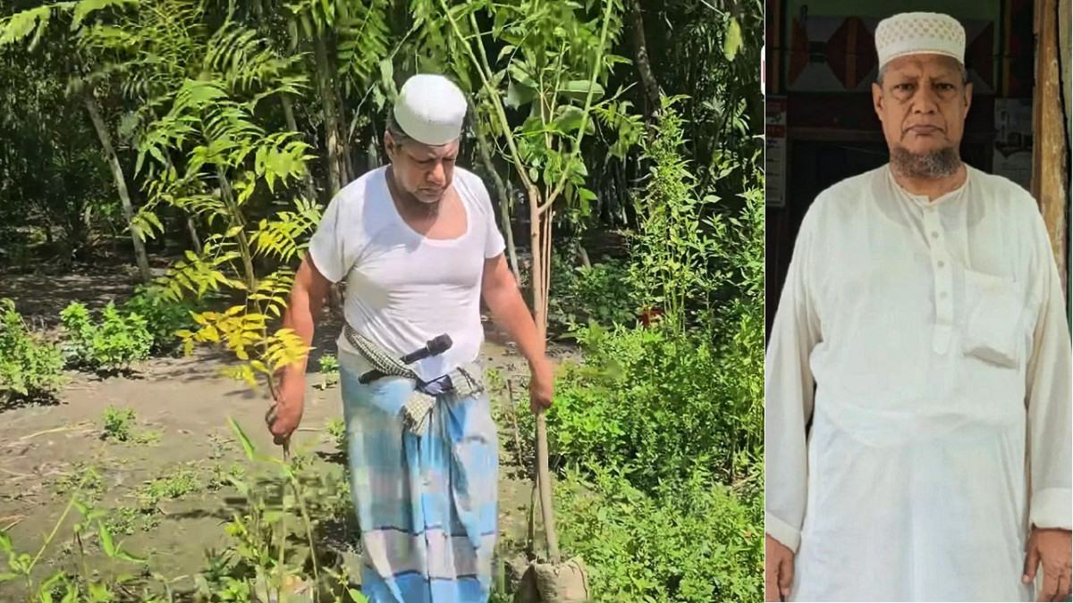 ৩০ বছর ধরে গাছ লাগিয়ে গ্রামের সড়কের চিত্র বদলে দিলেন মসজিদের ইমাম