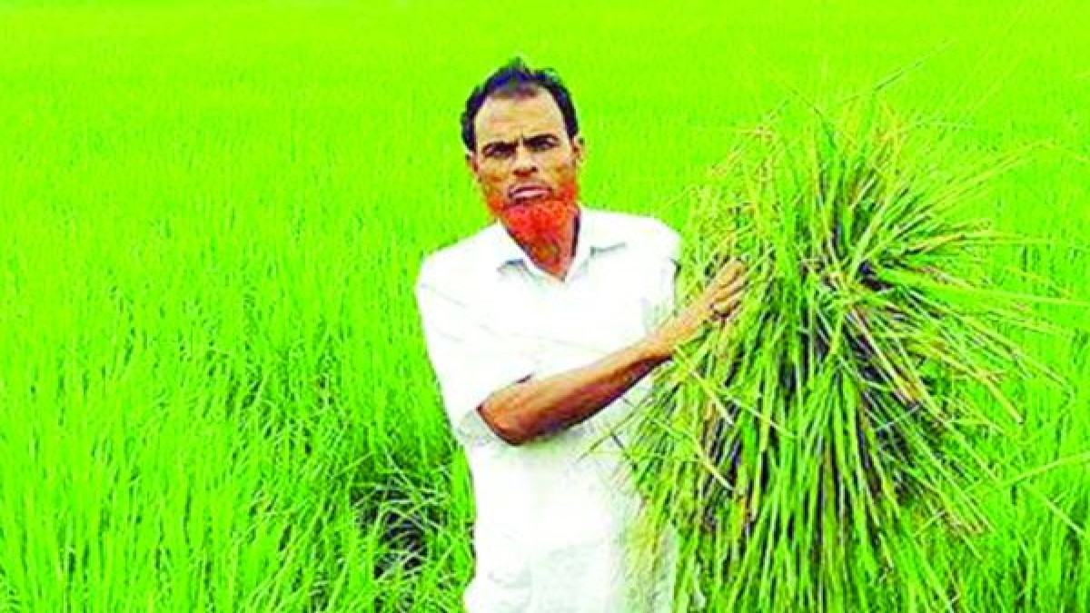 নাচোলে বিলুপ্তির পথে বাঁশ বেতের কুটিরশিল্প