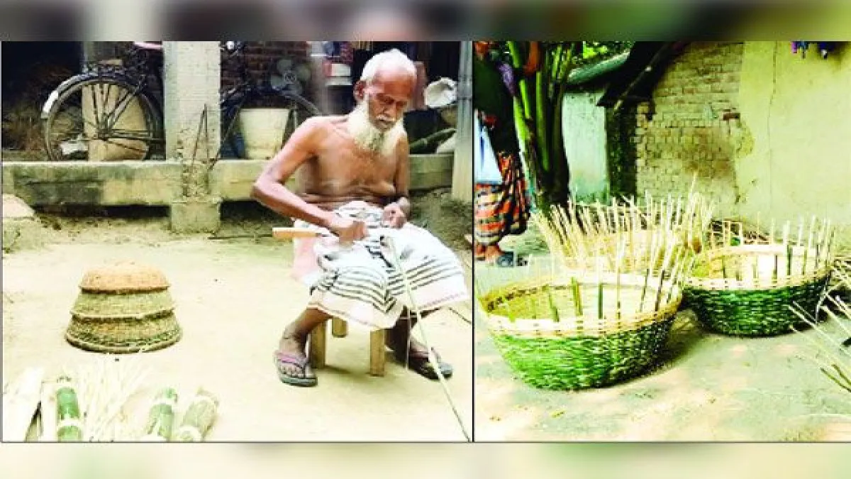 হোসেনপুরে ধানক্ষেতে ইঁদুরের উপদ্রব, ফলন বিপর্যয়ের শঙ্কা