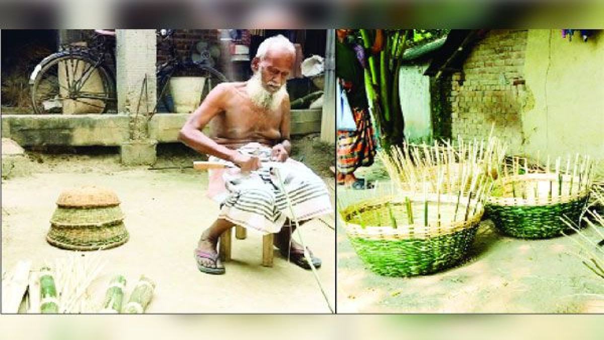 হোসেনপুরে ধানক্ষেতে ইঁদুরের উপদ্রব, ফলন বিপর্যয়ের শঙ্কা