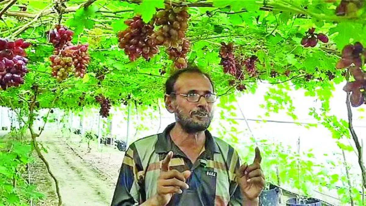 পলিনেট-মালচিং ও সৌরবিদ্যুতে বদলাচ্ছে বরেন্দ্রের কৃষি