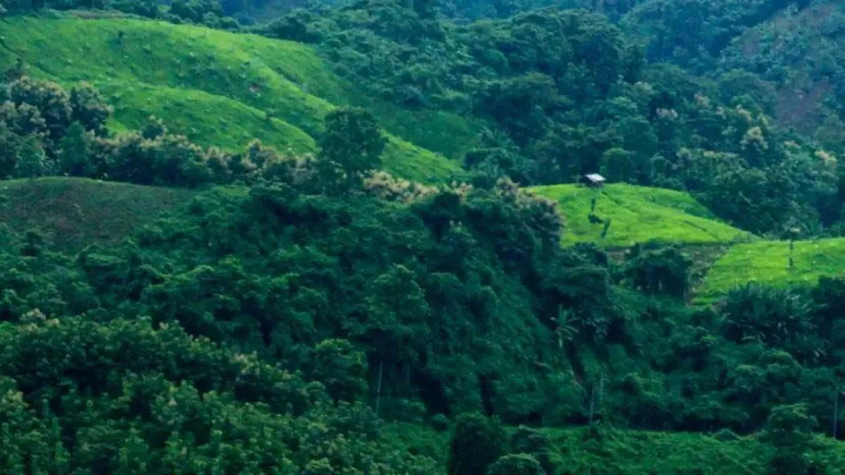 স্টারলিংকের ভয়ঙ্কর ফাঁদ!