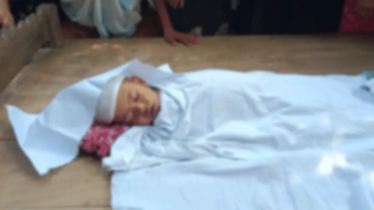 চুয়াডাঙ্গার দামুড়হুদায় পুকুরে ডুবে ৩ বছরের শিশুর মৃত্যু