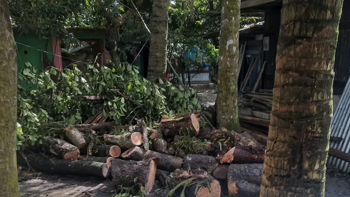 উজিরপুরে আদালতের নিষেধাজ্ঞার মধ্যেই সরকারি জমিতে বসতঘর