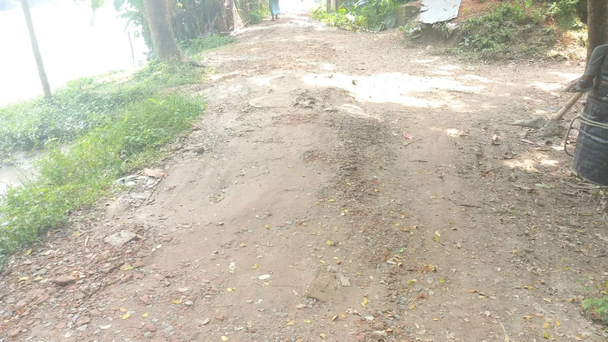কাঁঠালিয়ায় ৩ কিলোমিটার সড়কের বেহাল দশা, ভোগান্তিতে স্থানীয়রা