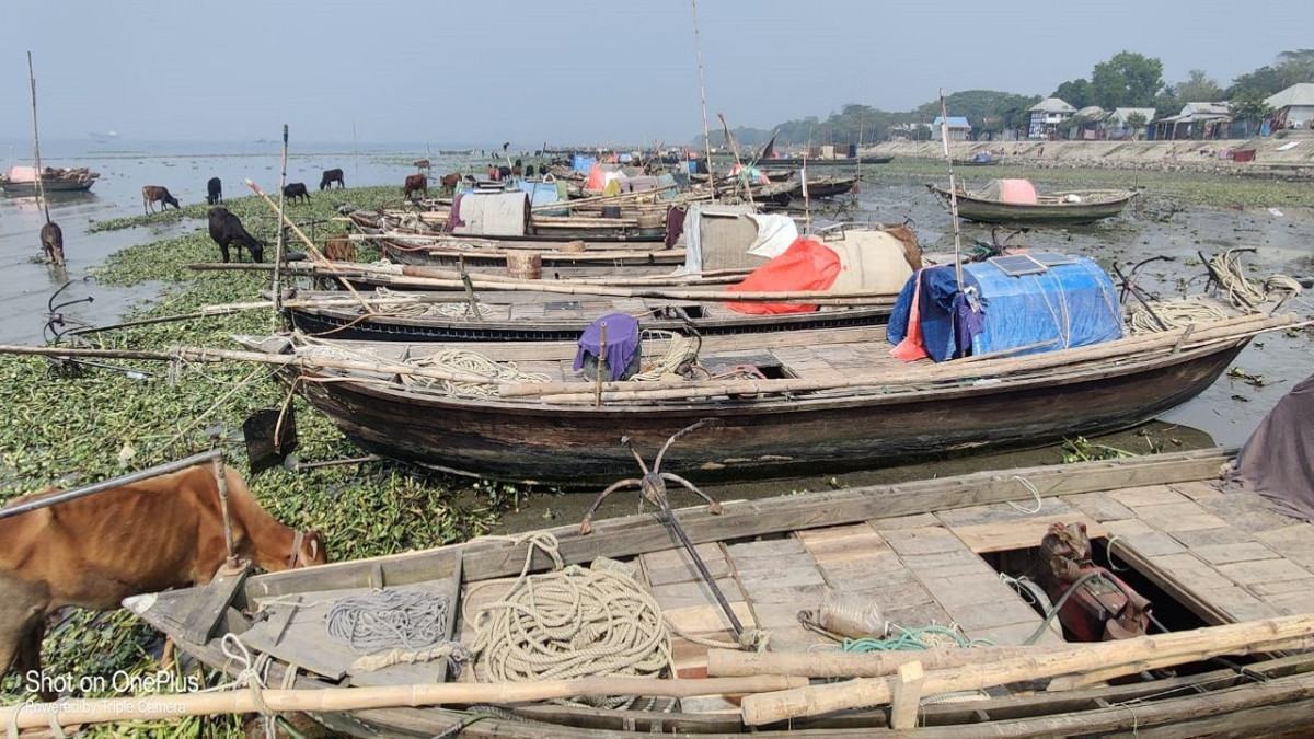 মধ্যরাত থেকে পদ্মা-মেঘনায় মাছ শিকারে ২২ দিনের নিষেধাজ্ঞা