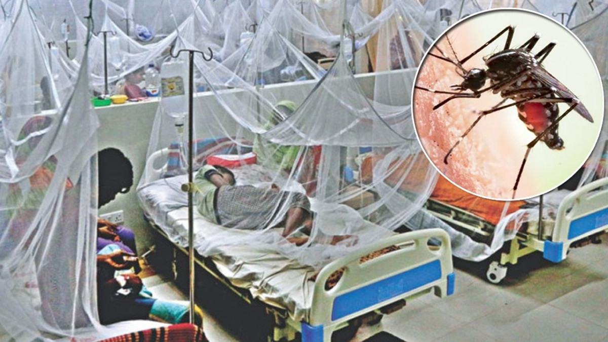 ডেঙ্গুতে আরো ৮ জনের মৃত্যু, হাসপাতালে ভর্তি ১৮৬০