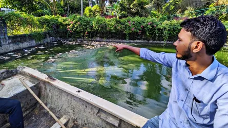 মিরসরাইয়ে বিষাক্ত বর্জ্যে কমলাসাগর দিঘিতে মাছ নিধনের অভিযোগ