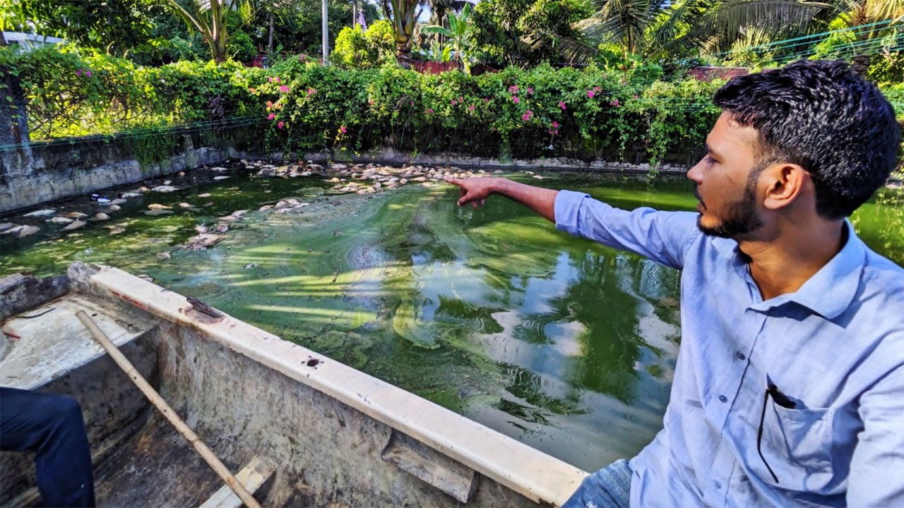Allegations of fish being killed in Kamala Sagar Dighi due to toxic waste