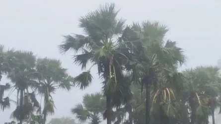 কুয়াকাটায় টানা বৃষ্টি, বিপর্যস্ত জনজীবন