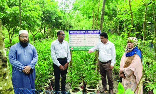 বস্তায় আদা চাষ শরীয়তপুরের কৃষকদের জন্য নতুন সম্ভাবনা