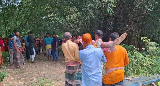 চুয়াডাঙ্গায় ড্রাগন বাগানে বিদ্যুৎস্পৃষ্টে শ্রমিকের মৃত্যু