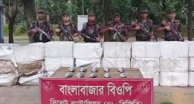 ভারতে পাচারকালে ৮৮৫ কেজি ইলিশ জব্দ