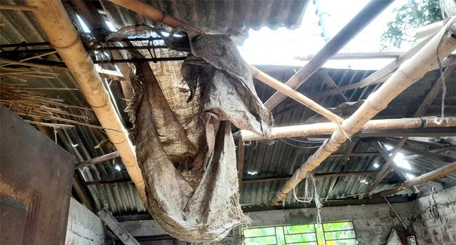 বগুড়ায় আবারো অবৈধ পটকা তৈরি, বিস্ফোরণে উড়ে গেছে ঘরের চাল