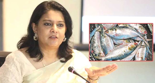 ‘উপহার নয়, ভারতে ইলিশ রফতানি করা হবে’