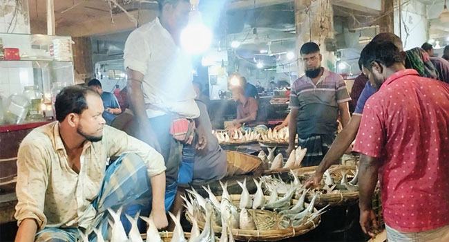 ভারতে রফতানির খবরে ভোলায় বেড়েছে ইলিশের দাম
